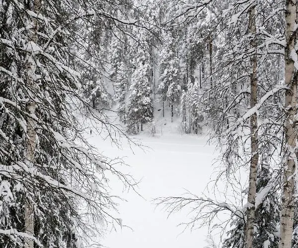 Ukkoherra 1 & 2 펜션